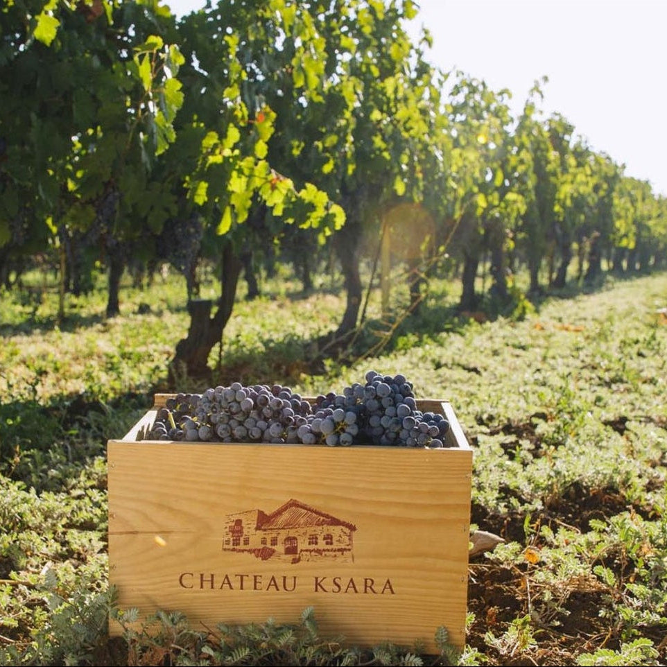 holzkiste mit weintrauben von chateau ksara